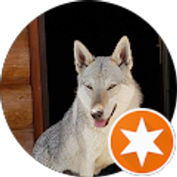 Profile photo of Walid Harb