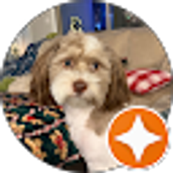 Profile photo of Duane Robidoux