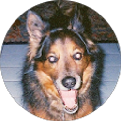 Profile photo of Buddy H.