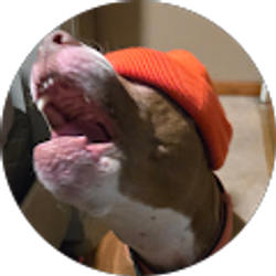 Profile photo of Jose Gonzalez