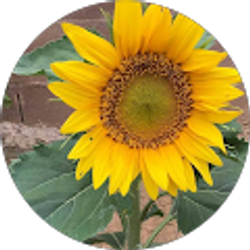 Profile photo of yggem ereh