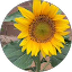 Profile photo of yggem ereh