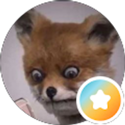 Profile photo of Rhiannon H