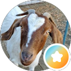 Profile photo of Jeanny Cruz