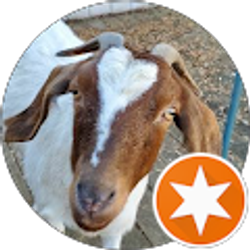 Profile photo of Jeanny Cruz