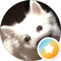 Profile photo of Noni X