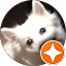 Profile photo of Noni X