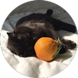 Profile photo of Louise