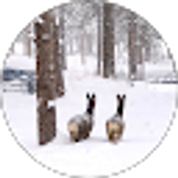 Profile photo of Nathan & Sarah Parker