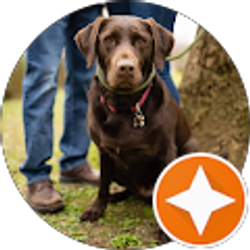 Profile photo of Jennifer Cellinesi