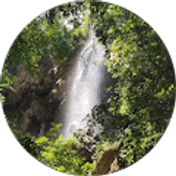 Profile photo of Austin Perez