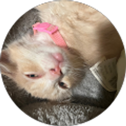 Profile photo of Kimberly