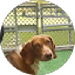 Profile photo of Aliyyah Muhammad