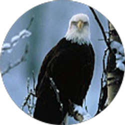 Profile photo of Bonita Darula