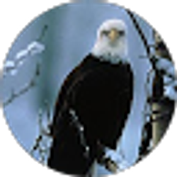 Profile photo of Bonita Darula