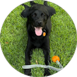 Profile photo of KEITH Hyche