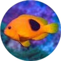 Profile photo of Jillnel Ortloff