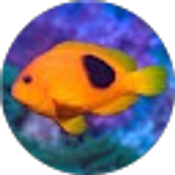Profile photo of Jillnel Ortloff