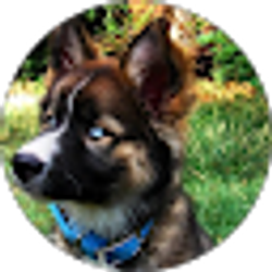 Profile photo of Austin Hanson
