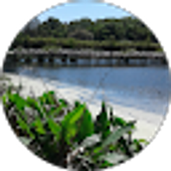 Profile photo of Trenell Hol