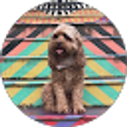 Profile photo of Stephanie McDaniel