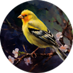 Profile photo of mary samples