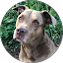 Profile photo of Sandra Choyce