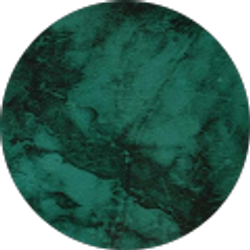 Profile photo of Logan