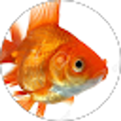 Profile photo of Brenna Kielkopf
