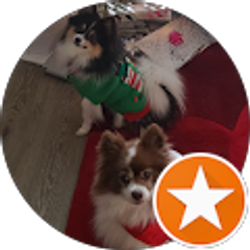 Profile photo of Peer Shmelzer