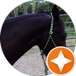 Profile photo of Holly Mitchell