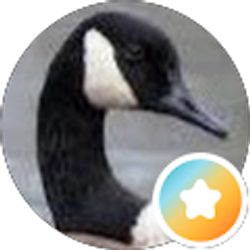 Profile photo of Ron Rand