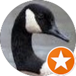 Profile photo of Ron Rand