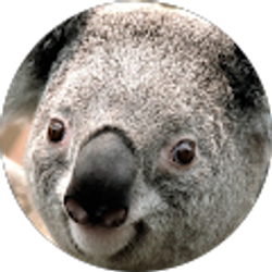 Profile photo of Matthew Aldrich