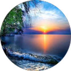 Profile photo of joy george