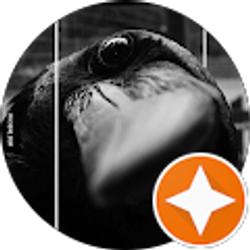 Profile photo of Daya B