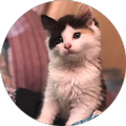 Profile photo of JTJREC GANG