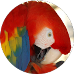 Profile photo of George Huggins