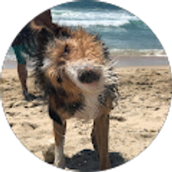 Profile photo of donald deltiempo