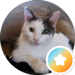 Profile photo of Susan Holt