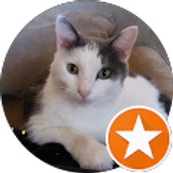 Profile photo of Susan Holt