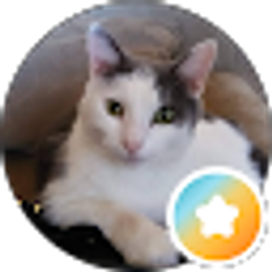 Profile photo of Susan Holt