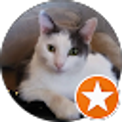 Profile photo of Susan Holt