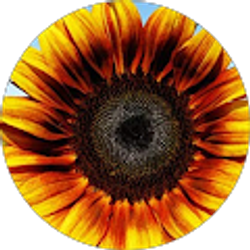 Profile photo of M Donaldson