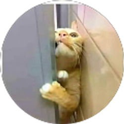 Profile photo of Kay Gebhardt