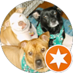 Profile photo of Ronda Springer