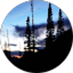 Profile photo of Brooke C