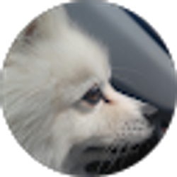 Profile photo of Jolanta Bafia