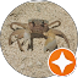 Profile photo of D “Gimmie” Ball