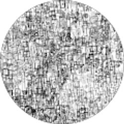 Profile photo of Jenna Kimberlin